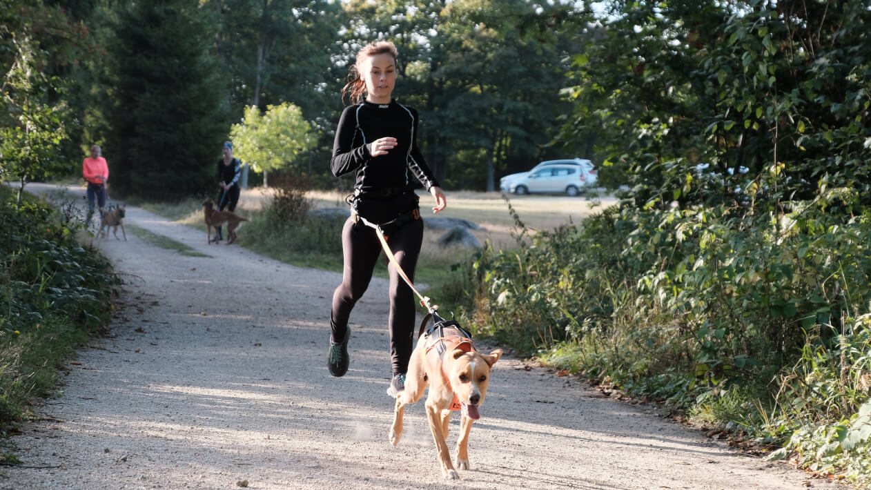 Rozhovor s Eliškou Macháčkovou a recenze na Dog Run Vrchlabí