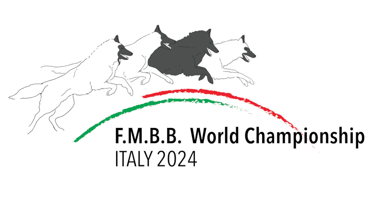 Report z FMBB 2024 - Bovolone